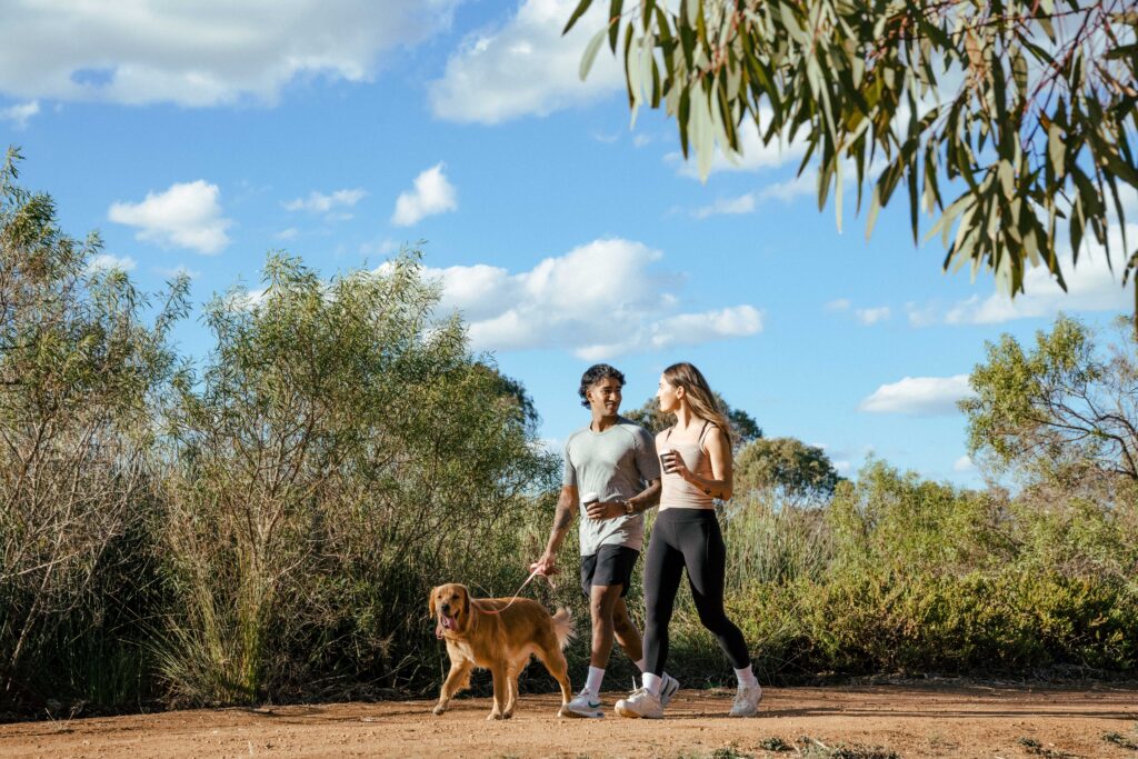 Showpony_23North_02_LR_Jack_Fenby_DSC_9102